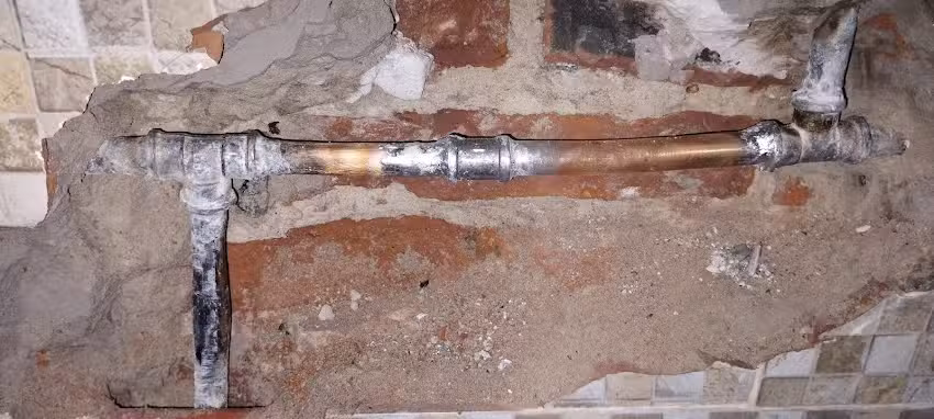 Alejandro Gasista, Plomero, Electricista