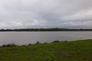 Alquiler de Escenario y Baños Quimicos