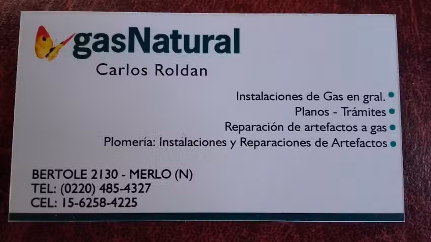 Carlos Rold&aacute;n &ndash; Gasista Matriculado / Plomer&iacute;a En General