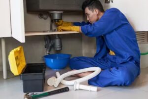 Desagotes la Nueva Ii