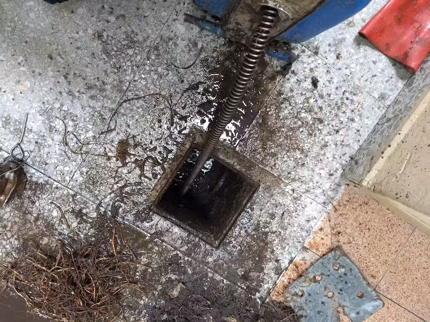 Destapaciones Davila