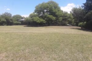 D&yacute;namics Servicios Punilla