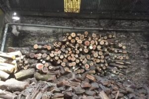 &ldquo;EL GUERRERO GAS&rdquo;