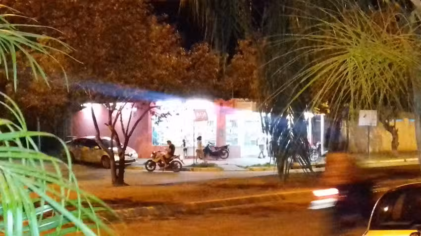 FORRAJER&Iacute;A FLORES