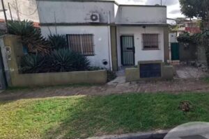 Fumigaci&oacute;n y desratizaci&oacute;n en San Isidro Zona Norte