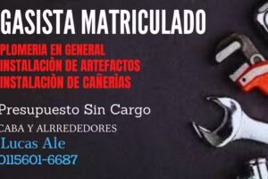Gasista Plomero