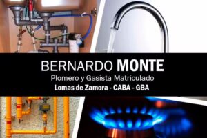 MONTE &bull; Plomero y Gasista Matriculado &bull; Calefacci&oacute;n Destapaciones