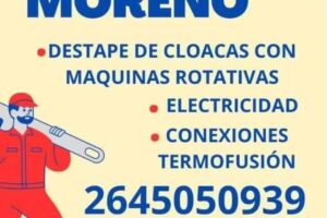 MORENO DESTAPE DE CLOCAS