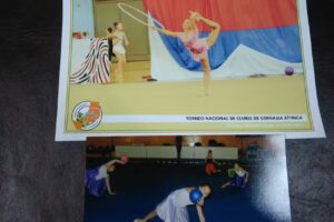 Plomero &ndash; Gasista