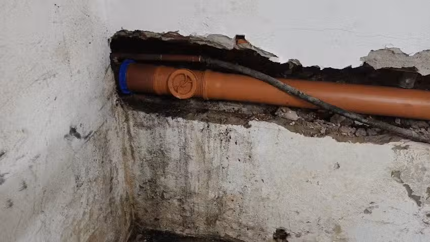 Plomero Gasista Jose