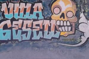 Plomero Gasista Matriculado Caneto Ramiro