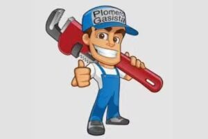 Plomero y Gasista Matriculado