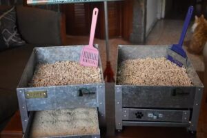 Sanipellet | Sanitario ecol&oacute;gico para gatos