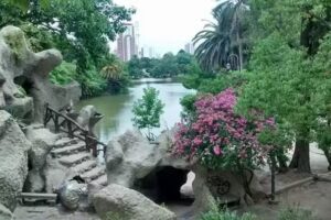 Sanitarios El Bosque