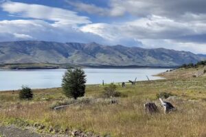 Sector de Sanitarios y Picnic &ndash; Parque Nacional Los Glaciares