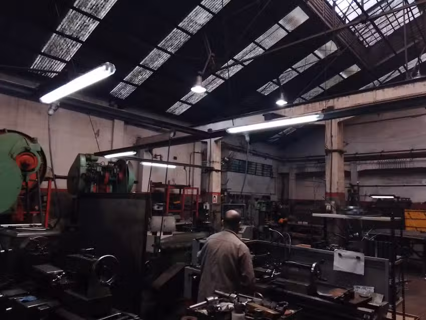 Servicios T&eacute;cnicos Profesionales